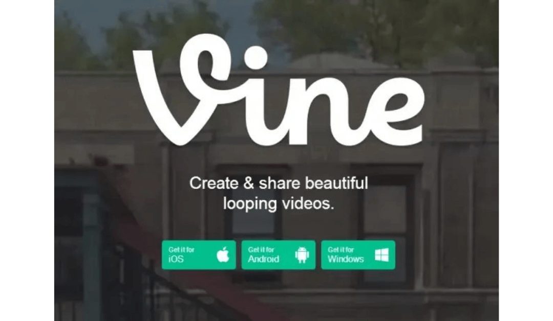 Get The Vine Shine! The Steps to Success on Vine