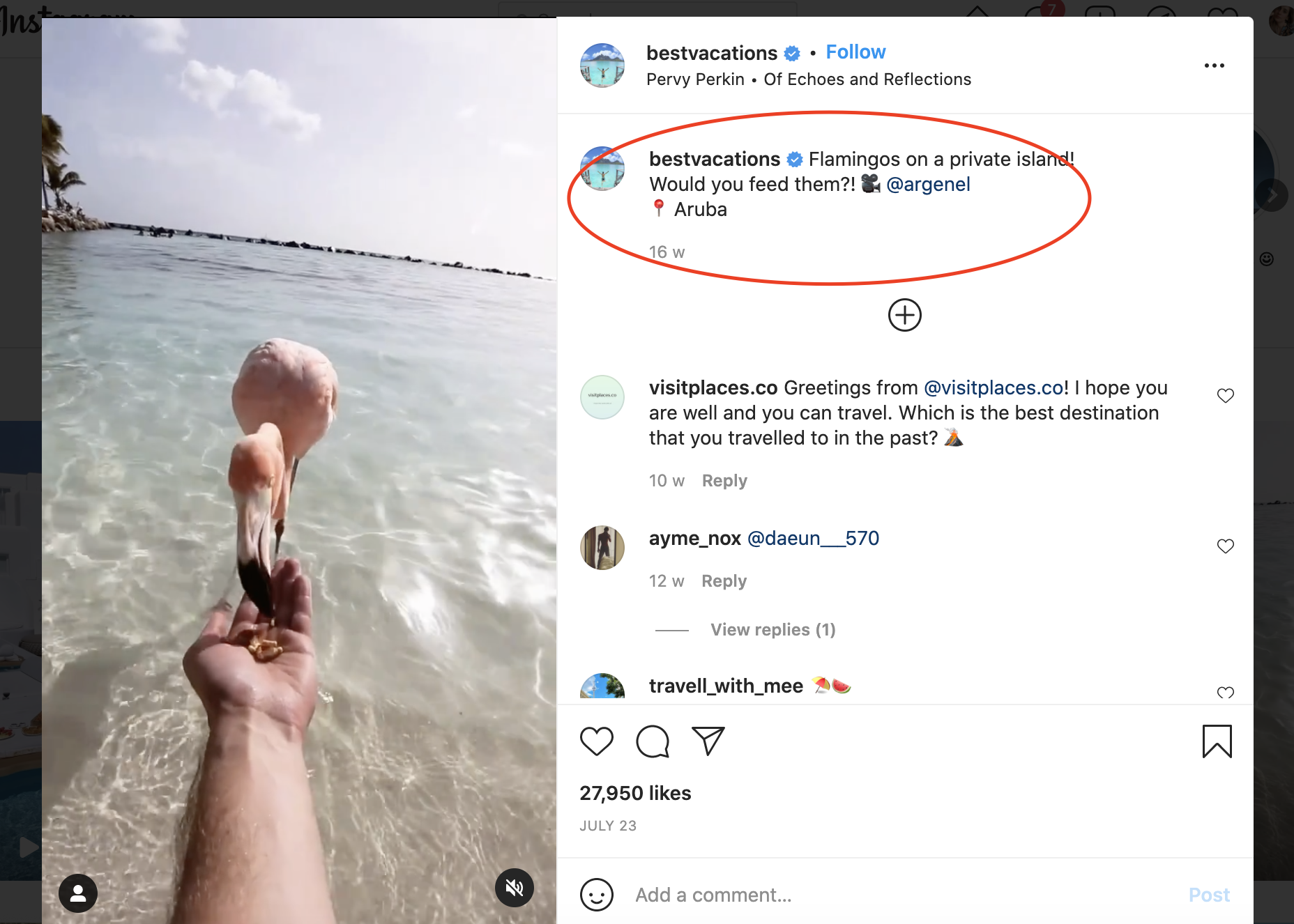 Tips to Create Viral Videos for Instagram Reels and TikTok